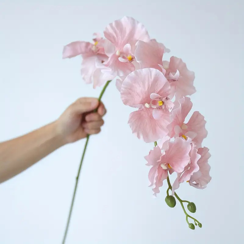 Anggrek Kupu-kupu Cabang Panja - Wedding Arch Flower ulasan dan harga